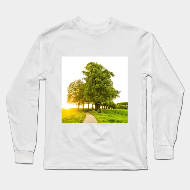 SCENERY 79 - Greens Tree Leaf Nature Wood Grassland Long Sleeve T-Shirt by artvoria